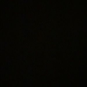 Meet your Posher, Dina